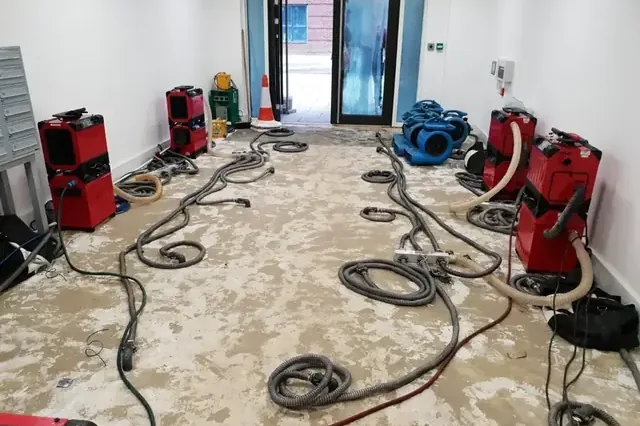 Red drying machines and blue air movers arranged across a stripped floor