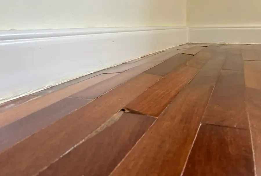 Hardwood boards raised and cupped beside a white wall base after water exposure
